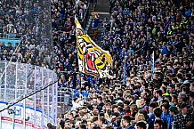 Eishockey, Men, DEL, Penny DEL, Hauptrunde Saison 2024-25, 1. Spieltag, Straubing Tigers - Düsseldorfer EG, 20.09.2024