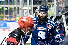 Eishockey, Herren, DEL, Saison 2021-2022, 39. Spieltag, Straubing Tigers - Grizzlys Wolfsburg,  18.02.2022