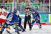 Eishockey, Men, DEL, Penny DEL, Hauptrunde Saison 2024-25, 1. Spieltag, Straubing Tigers - Düsseldorfer EG, 20.09.2024