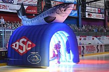 Eishockey, Herren, Oberliga Süd, Saison 2020 2021, Deggendorfer SC - ECDC Memmingen Indians, 05.02.2021