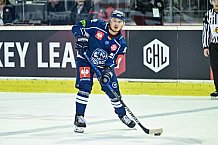 Eishockey, CHL, Champions Hockey League, 1. Spieltag, Saison 2022-2023, Gruppe F, Comarch Cracovia - Straubing Tigers, 01.09.2022