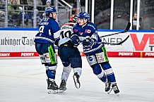 Eishockey, Herren, Penny DEL, 42. Spieltag, Saison 2023-2024, Straubing Tigers - Ingolstadt Panther,28.01.2024