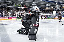 Eishockey, Men, CHL, Champions Hockey League, Regular Saison 2024-25, Game Day 1, Straubing Tigers - SonderjyskE Vojens, 06.09.2024