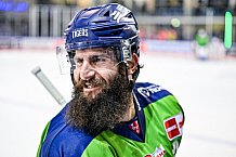 Eishockey, Herren, DEL, Saison 2022-2023, Hauptrunde, Straubing Tigers - Grizzlys Wolfsburg, 10. Spieltag, 14.10.2022