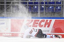 Eishockey, Herren, DEL, Saison 20202021, Straubing Tigers - Adler Mannheim, 22.01.2021