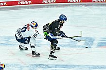 Eishockey, Herren, Penny DEL, 17. Spieltag, Saison 2023-2024, Straubing Tigers - EHC Red Bull Muenchen,03.11.2023
