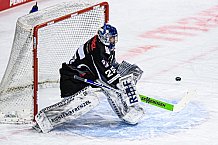 Eishockey, Herren, DEL, Saison 2020-2021, Playoff Viertelfinale Spiel 2, Straubing Tigers - Adler Mannheim, 22.04.2021