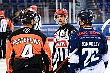 Eishockey, Herren, DEL, Saison 2021-2022, 10.12.2021