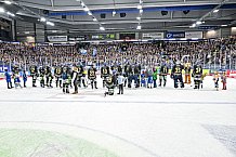 Eishockey, Herren, Penny DEL, 17. Spieltag, Saison 2023-2024, Straubing Tigers - EHC Red Bull Muenchen,03.11.2023