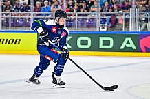 Eishockey, Men, CHL, Champions Hockey League, Regular Saison 2024-25, Game Day 2, Straubing Tigers - Skelleftea AIK, 08.09.2024