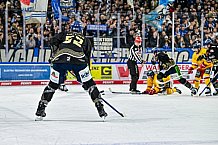 Eishockey, Herren, Penny DEL, 20. Spieltag, Saison 2023-2024, Straubing Tigers - Duesseldorfer EG,19.11.2023