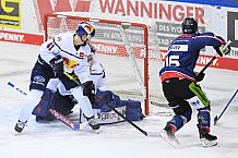 Eishockey, Herren, DEL, Saison 2020-2021, Straubing Tigers - EHC Red Bull München, 22.02.2021