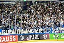 Eishockey, CHL, Champions Hockey League, 3. Spieltag, Saison 2022-2023, Gruppe F, Straubing Tigers - Comrach Cracovia, 09.09.2022