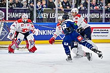 Eishockey, Men, CHL, Champions Hockey League, Regular Saison 2024-25, Game Day 4, Straubing Tigers - Dynamo Pardubice, 15.09.2024