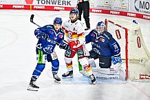 Eishockey, Men, DEL, Penny DEL, Hauptrunde Saison 2024-25, 1. Spieltag, Straubing Tigers - Düsseldorfer EG, 20.09.2024