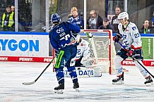 Eishockey, Men, DEL, Penny DEL, Hauptrunde Saison 2024-25, 8. Spieltag, Straubing Tigers - Adler Mannheim, 11.10.2024