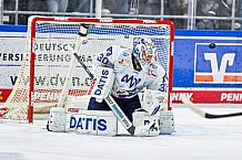 Eishockey, Men, DEL, Penny DEL, Hauptrunde Saison 2024-25, 8. Spieltag, Straubing Tigers - Adler Mannheim, 11.10.2024