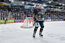 Eishockey, Herren, Penny DEL, 22. Spieltag, Saison 2023-2024, Straubing Tigers - Fischtown Pinguins Bremerhaven,26.11.2023