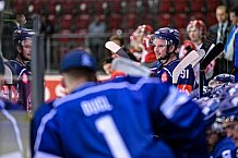 Eishockey, CHL, Champions Hockey League, 1. Spieltag, Saison 2022-2023, Gruppe F, Comarch Cracovia - Straubing Tigers, 01.09.2022