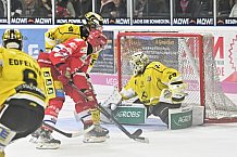 Herren, Eishockey, Oberliga-Süd, DEB, Saison 2024-2025, Deggendorfer SC - Tölzer Löwen, 22.09.2024