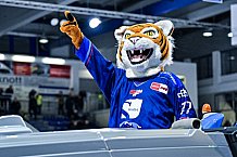 Eishockey, Herren, DEL, Saison 2022-2023, Hauptrunde, Straubing Tigers - Schwenninger Wild Wings, 15. Spieltag, 25.10.2022