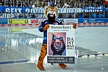 Eishockey, Herren, DEL, Saison 2021-2022, Playoff, Viertelfinale, Spiel 1, Straubing Tigers - Adler Mannheim, 09.04.2022