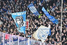 Eishockey, Herren, Penny DEL, 52. Spieltag, Saison 2023-2024, Straubing Tigers - Grizzlys Wolfsburg,08.03.2024