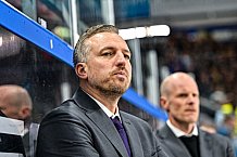 Eishockey, Men, DEL, Penny DEL, Hauptrunde Saison 2024-25, 4. Spieltag, Straubing Tigers - EHC Red Bull München, 29.09.2024