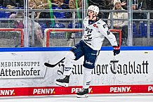 Eishockey, Herren, Penny DEL, 44. Spieltag, Saison 2023-2024, Straubing Tigers - Adler Mannheim,04.02.2024