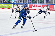 Eishockey, Men, DEL, Penny DEL, Hauptrunde Saison 2024-25, 4. Spieltag, Straubing Tigers - EHC Red Bull München, 29.09.2024