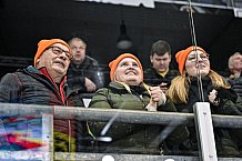 Eishockey, Herren, Penny DEL, DEL, Saison 2022-2023, Hauptrunde, Straubing Tigers - Kölner Haie, 57. Spieltag, 26.02.2023