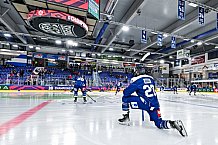 Eishockey, Men, CHL, Champions Hockey League, Regular Saison 2024-25, Game Day 4, Straubing Tigers - Dynamo Pardubice, 15.09.2024