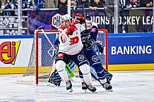 Eishockey, Men, CHL, Champions Hockey League, Regular Saison 2024-25, Game Day 4, Straubing Tigers - Dynamo Pardubice, 15.09.2024