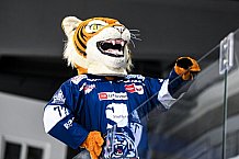 Eishockey, Herren, DEL, Saison 2021-2022, 05.11.2021