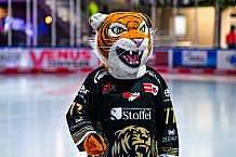 Eishockey, Herren, Penny DEL, 22. Spieltag, Saison 2023-2024, Straubing Tigers - Fischtown Pinguins Bremerhaven,26.11.2023