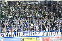 Eishockey, Herren, DEL, Saison 2021-2022, Straubing Tigers - Adler Mannheim, 10.09.2021