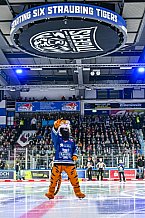 Eishockey, Herren, Penny DEL, Playoffs, Viertelfinale, Spiel 5, Saison 2023-2024, Straubing Tigers - Schwenninger Wild Wings,26.03.2024