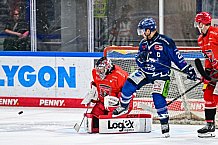 Eishockey, Herren, Penny DEL, Saison 2024-2024, Vorbereitung, Spiel um Platz 3 - Gäubodencup 2024, Straubing Tigers - Mountfield HK, 31.08.2024