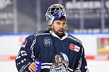 Eishockey, Herren, DEL, Saison 2020-2021, Straubing Tigers - Schwenninger Wild Wings, 17.02.2021