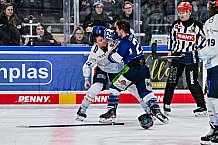 Eishockey, Herren, Penny DEL, 42. Spieltag, Saison 2023-2024, Straubing Tigers - Ingolstadt Panther,28.01.2024