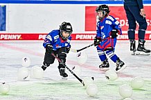 Eishockey, Men, DEL, Penny DEL,  Straubing Tigers - Kids on Ice, 28.09.2024