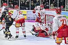 Herren, Eishockey, Oberliga-Süd, Saison 2022-2023, DEB, Deggendorfer SC - EV Herne Miners, Playoff, Viertelfinale, Spiel 4, 04.04.2023