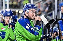 Eishockey, Herren, DEL, Saison 2022-2023, Hauptrunde, Straubing Tigers - Grizzlys Wolfsburg, 10. Spieltag, 14.10.2022