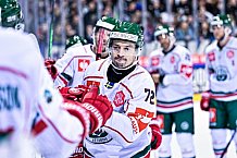 Eishockey, Herren, CHL, Champions Hockey League, Saison 2022-2023, Achtelfinale, Straubing Tigers - Frölunda HC Göteborg, Rückspiel, 22.11.2022
