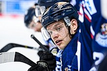 Eishockey, Herren, DEL, Saison 2020-2021, Straubing Tigers - Düsseldorfer EG, 04.04.2021