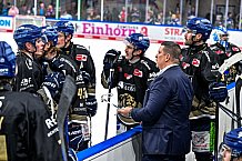 Eishockey, Herren, Penny DEL, 47. Spieltag, Saison 2023-2024, Straubing Tigers - Koelner Haie,18.02.2024