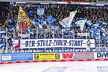 Eishockey, Herren, Penny DEL, Playoffs, Viertelfinale, Spiel 1, Saison 2023-2024, Straubing Tigers - Schwenninger Wild Wings,16.03.2024