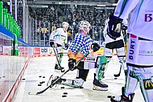 Eishockey, Herren, Penny DEL, DEL, Saison 2022-2023, Hauptrunde, Straubing Tigers - Bietigheim Steelers, 33. Spieltag, 20.12.2022