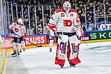 Eishockey, Men, CHL, Champions Hockey League, Regular Saison 2024-25, Game Day 4, Straubing Tigers - Dynamo Pardubice, 15.09.2024