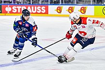 Eishockey, Men, CHL, Champions Hockey League, Regular Saison 2024-25, Game Day 4, Straubing Tigers - Dynamo Pardubice, 15.09.2024